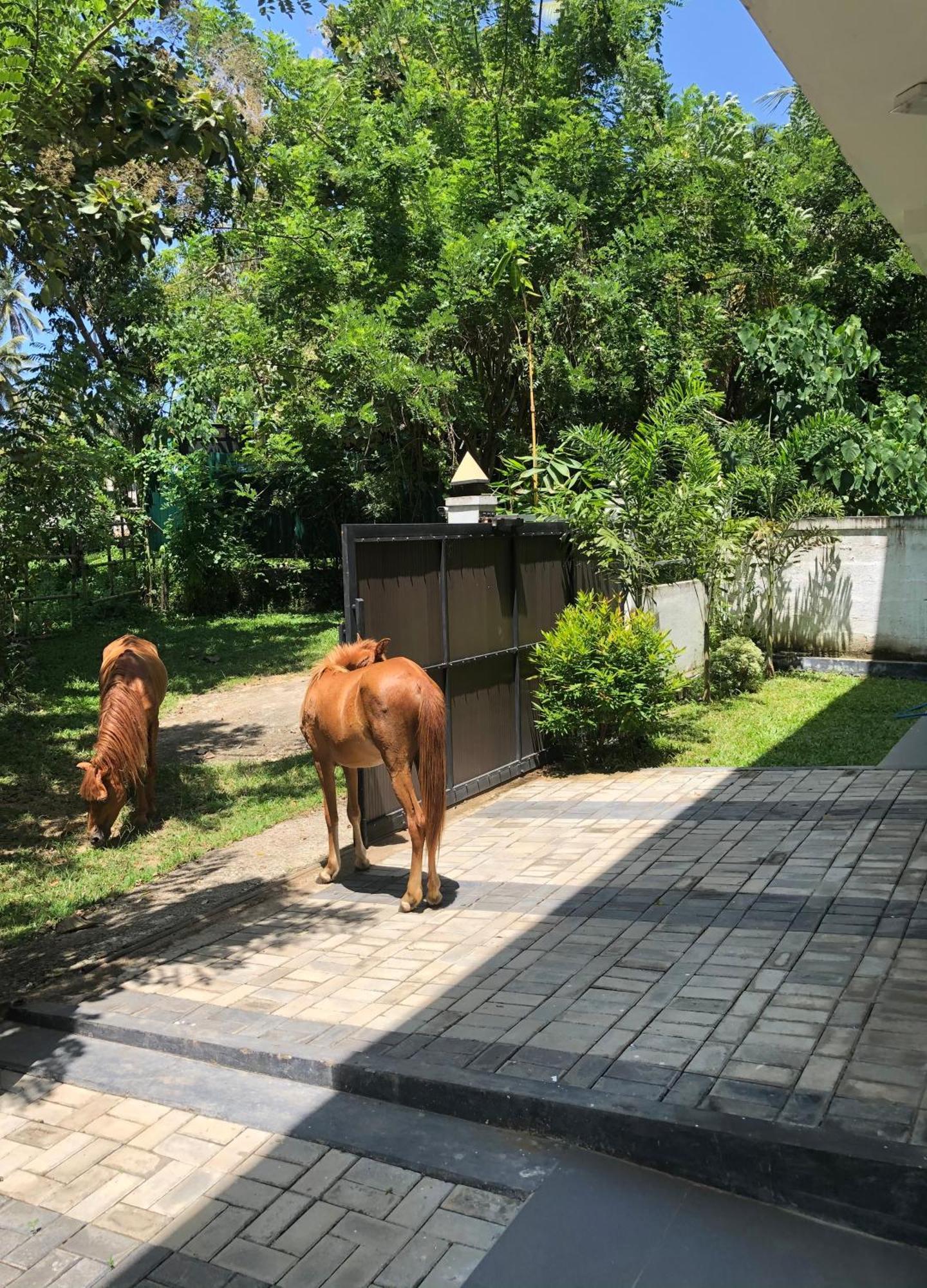 Lanka Villa Mirissa Luaran gambar